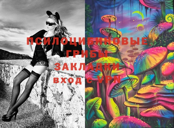 apvp Волоколамск