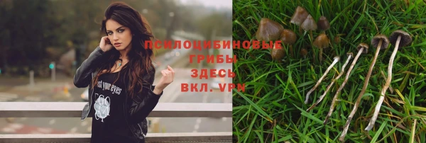 apvp Волоколамск