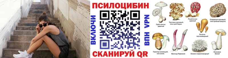 Псилоцибиновые грибы мицелий  купить наркотик  Долгопрудный 